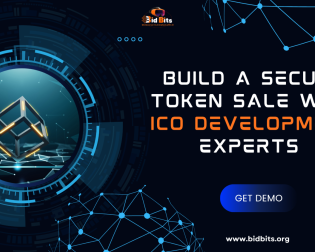 ICO Development - Bidbits