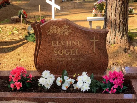 HAUAKIVID TALLINNAS | ANUBIS EESTI OÜ 