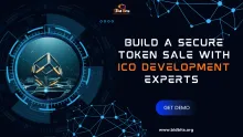 ICO Development - Bidbits